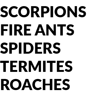 SCORPIONS FIRE ANTS SPIDERS TERMITES ROACHES 